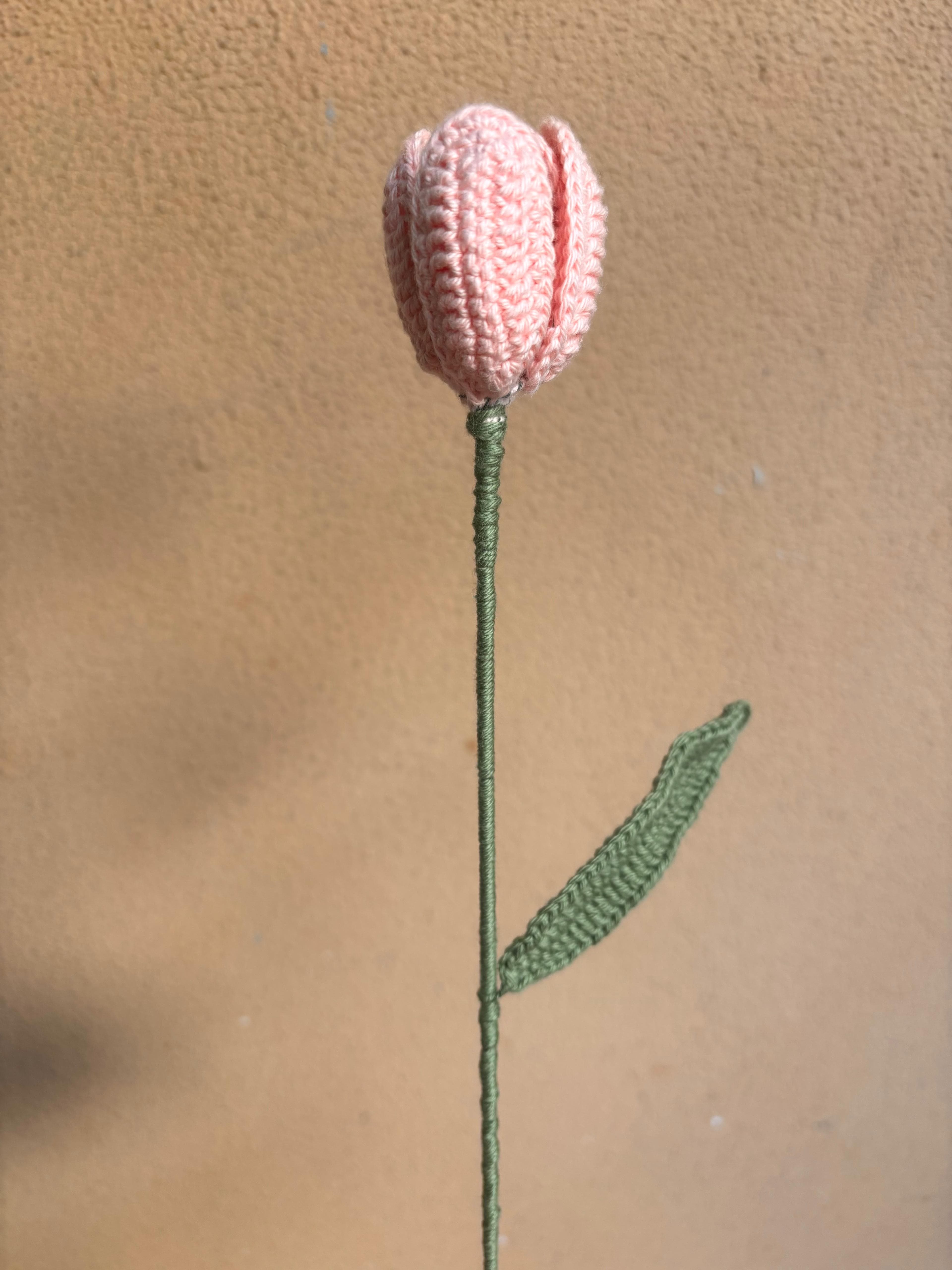 Tulipano decorativo